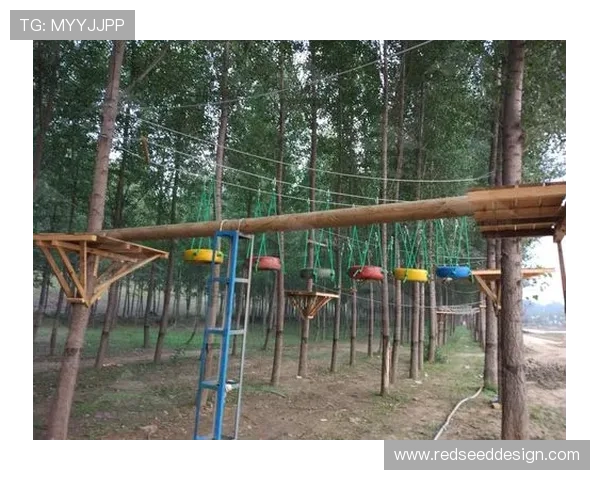 皇冠手机娱乐加强版权保护措施,打击非法内容营造健康良好的娱乐环境